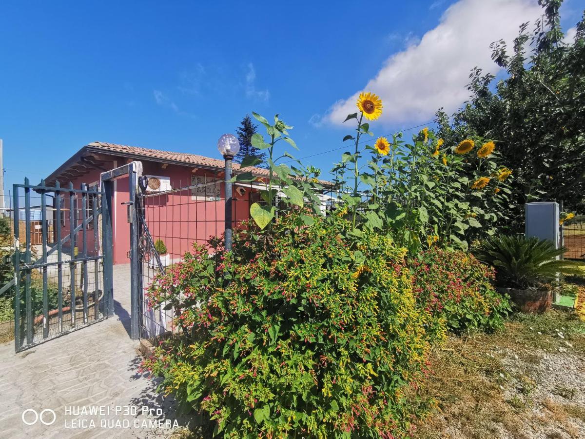 Bed And Breakfast "Anna" Bagnara Calabra Buitenkant foto